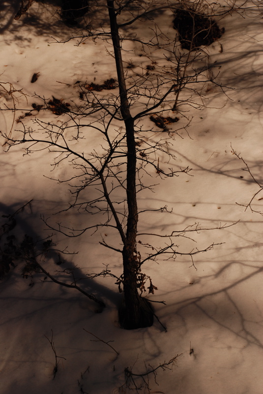 DSC_0636.JPG