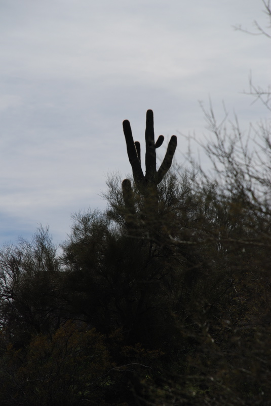 DSC_0678.JPG
