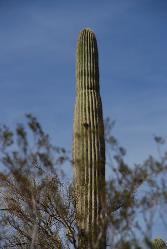 DSC_0696.JPG