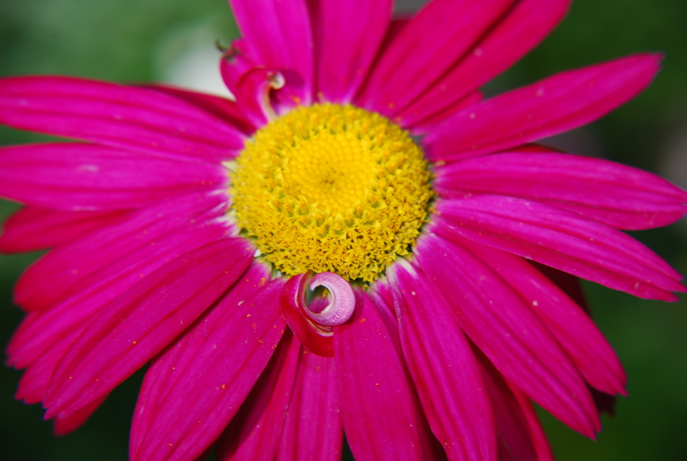 DSC_0293.JPG