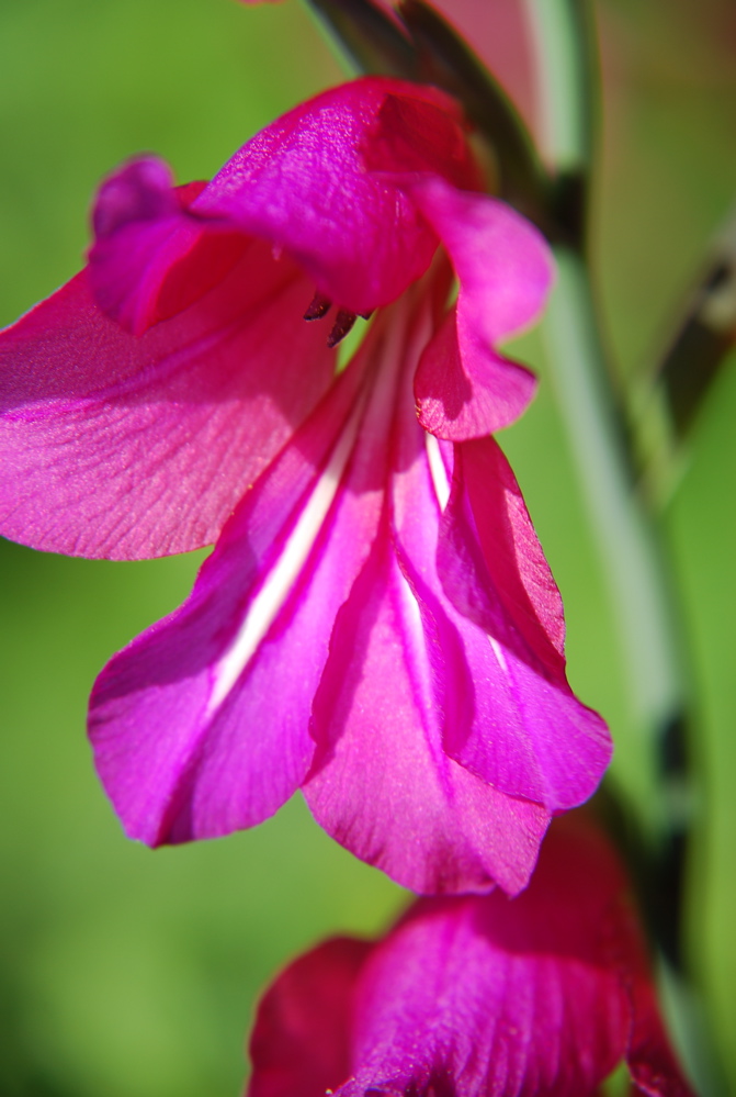 DSC_0307.JPG