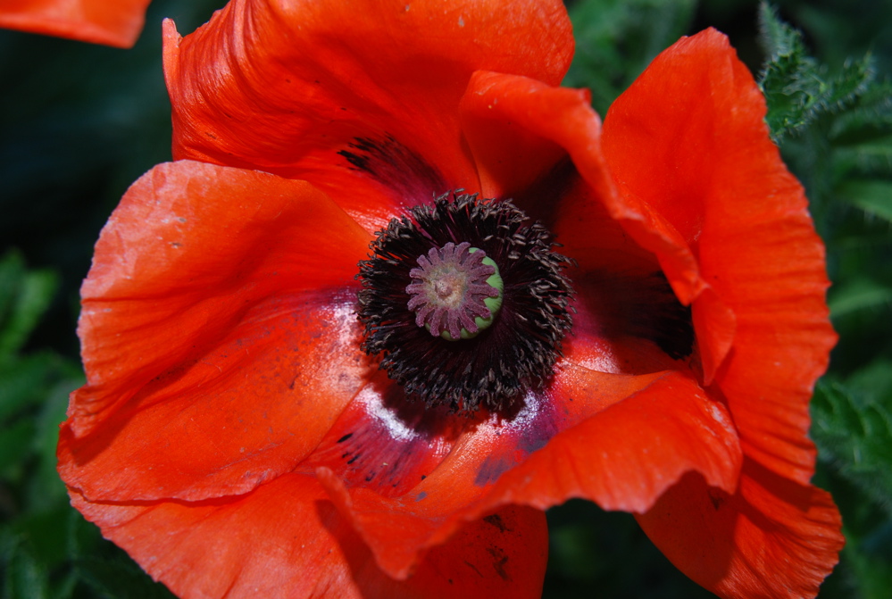 DSC_0267.JPG