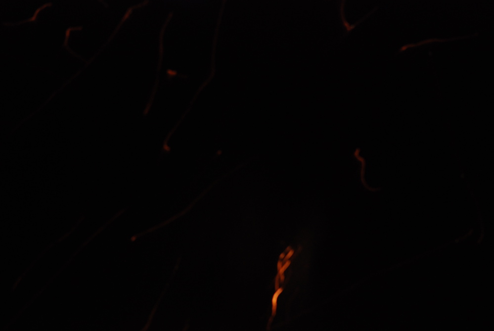 DSC_0380.JPG